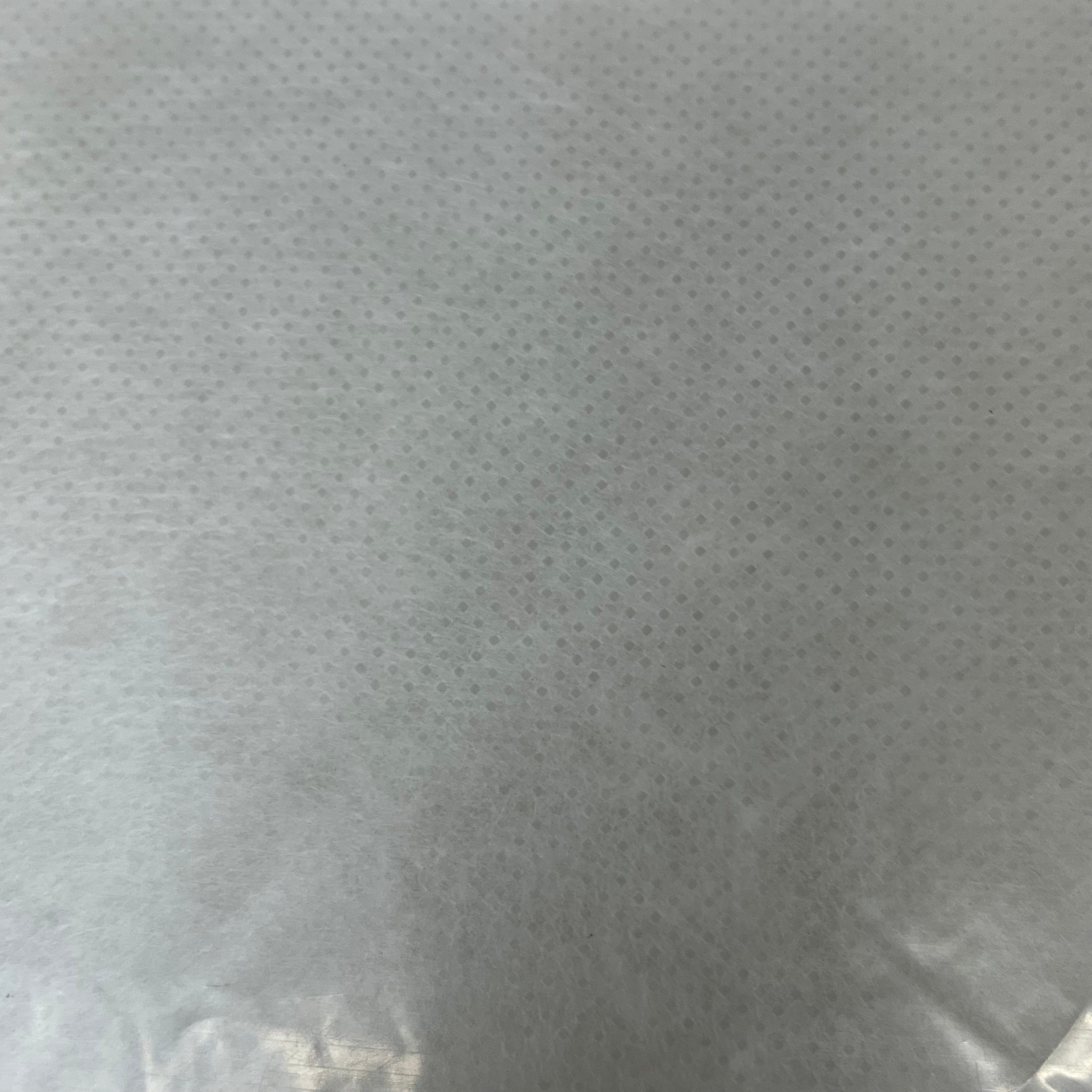 CREATIVE CO-OP Reserved for The Cat Cotton Pillow 24"W x 14" H Creme DF0524