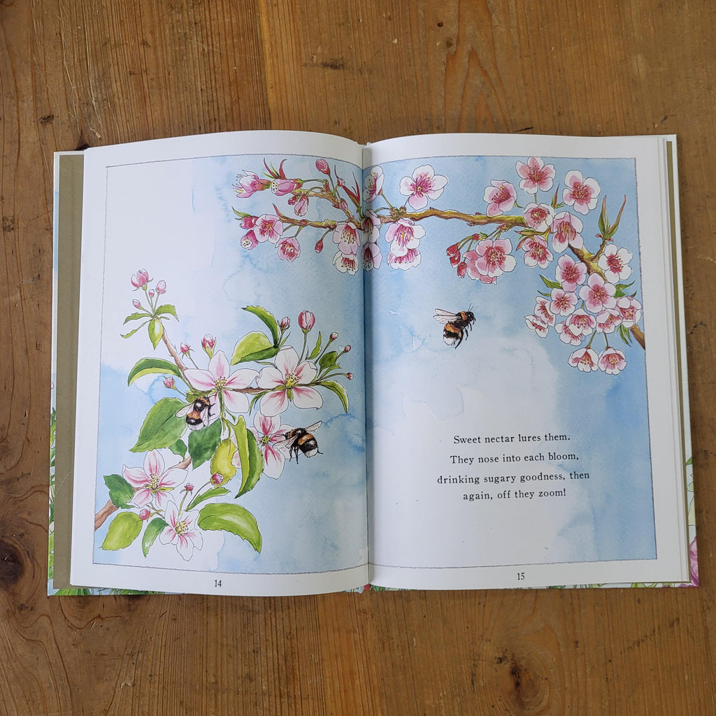 It Starts With A Bee Kids Book