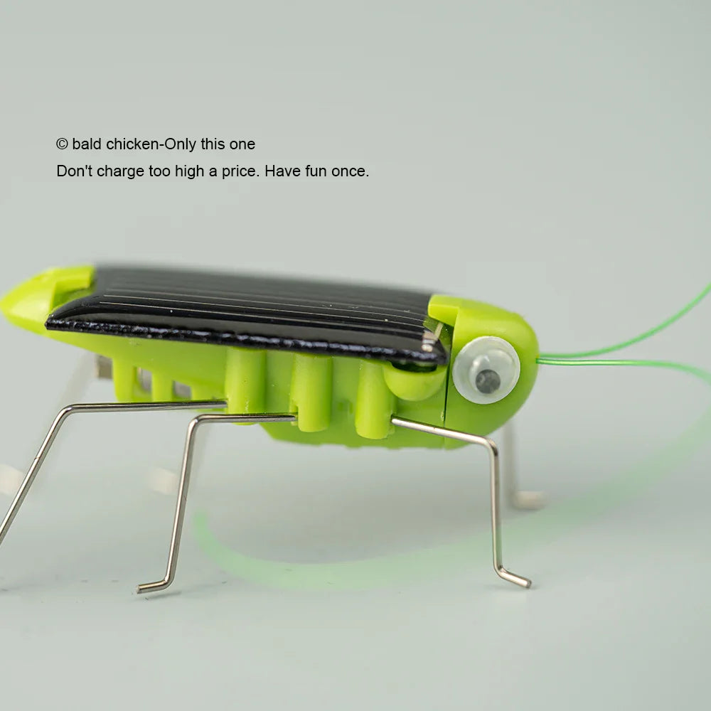 Solar Powered Grasshopper Toy | STEM Science Education Wooden Puzzle Kit