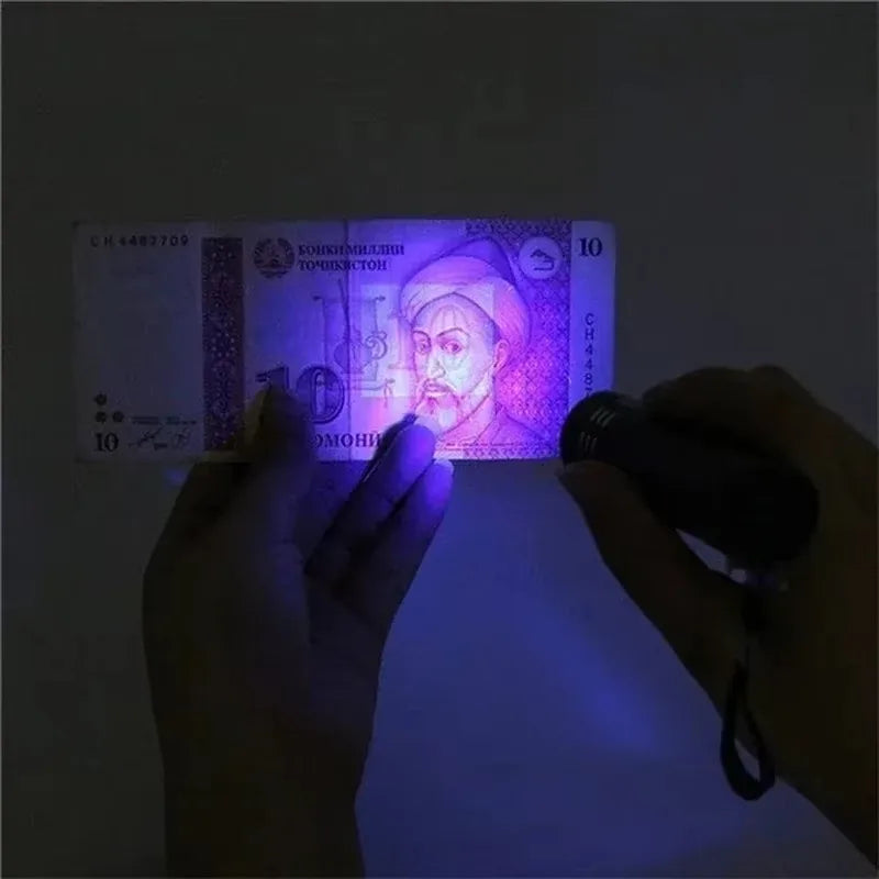 UV LED Flashlight Portable Blacklight | 365/395nm Dual Wavelength Pet Urine Detector