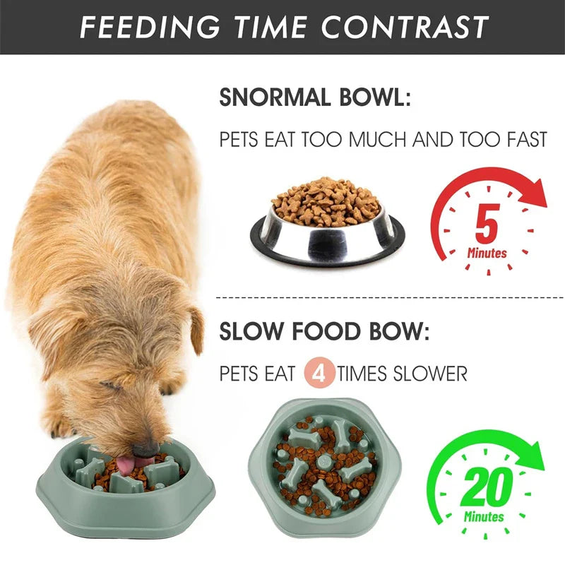 Slow Feeder Dog Bowl | Anti-Choking Puzzle Feeder for Small and Medium Dogs