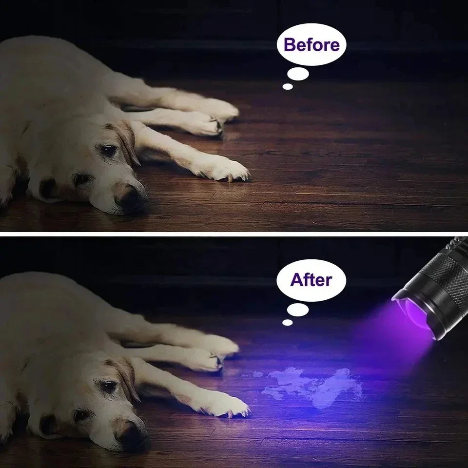 UV LED Flashlight 395nm | Ultraviolet Blacklight Detector for Pet Urine and Stains