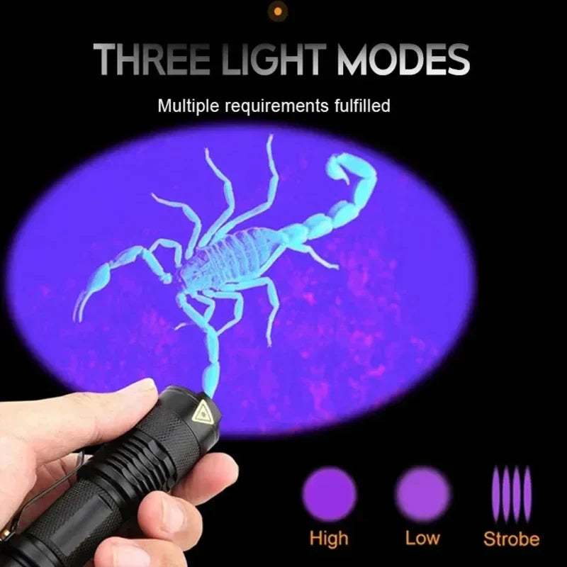 UV LED Flashlight 395nm | Ultraviolet Blacklight Detector for Pet Urine and Stains