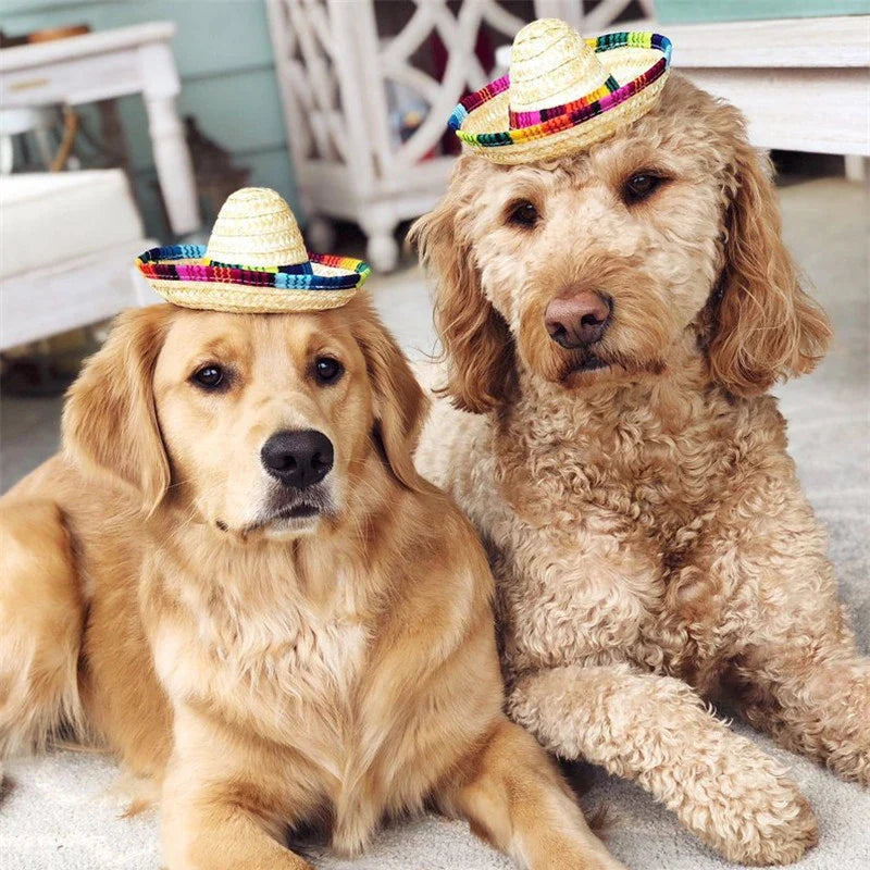 Colorful Mini Pet Straw Sombrero Hat | Dog Cat Sun Hat for Beach Parties