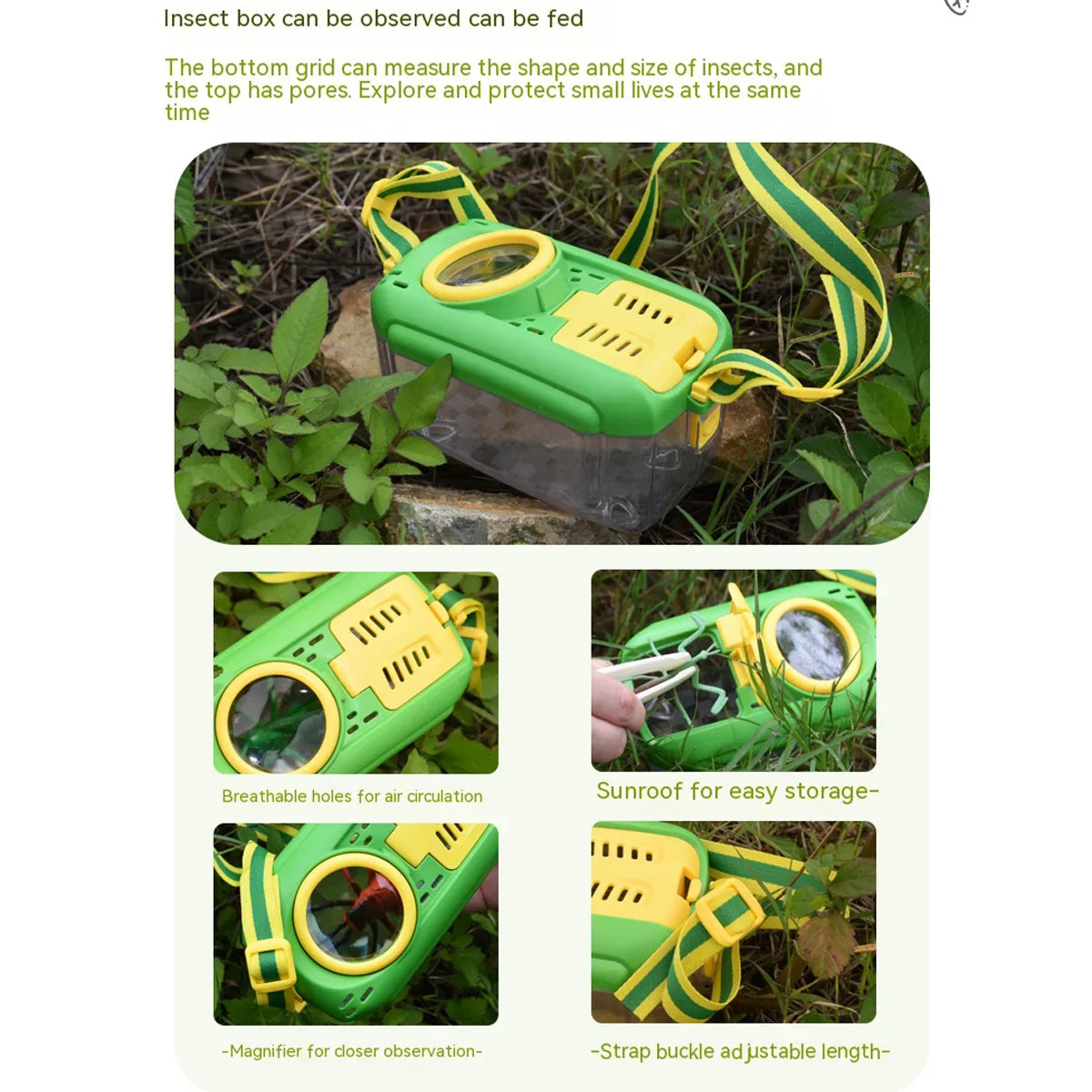Insect Observation Box | Outdoor Explorer Toy for Kids