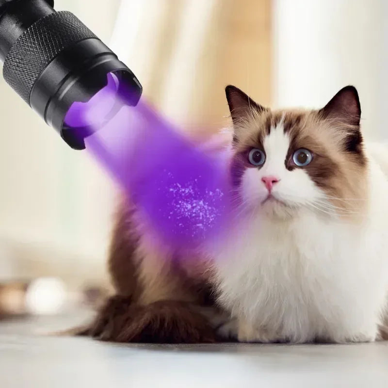Portable UV Flashlight 365-395nm | Black Light Ultraviolet Zoomable Torch for Pet Urine and Stain Detection