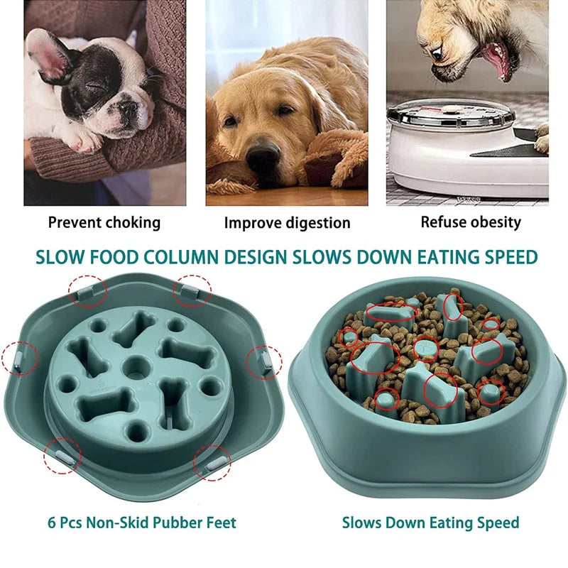 Slow Feeder Dog Bowl | Anti-Choking Puzzle Feeder for Small and Medium Dogs