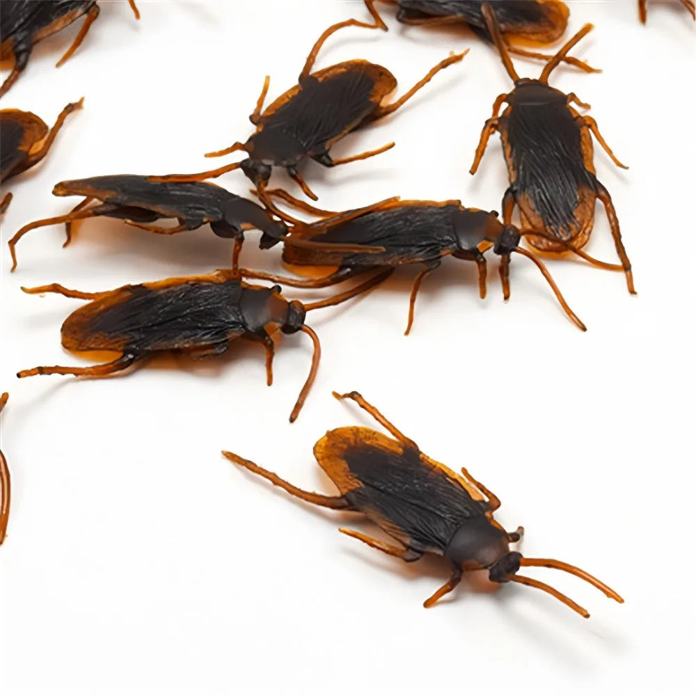 Realistic Fake Cockroaches | Prank Props for Halloween and April Fools