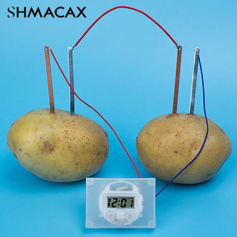 Potato Battery Science Kit | Kids Bio Energy STEM Experiment Set
