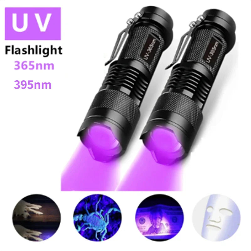 Portable UV Flashlight 365-395nm | Black Light Ultraviolet Zoomable Torch for Pet Urine and Stain Detection