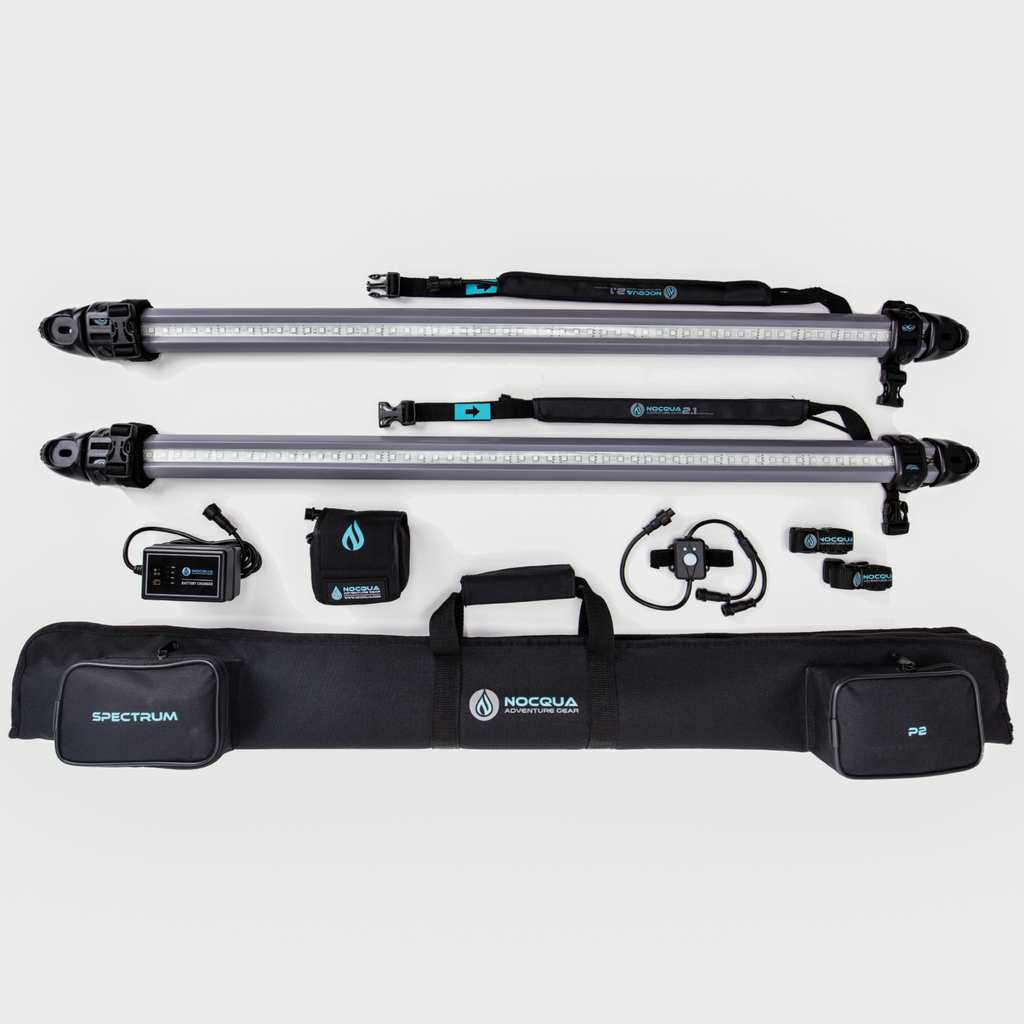 SPECTRUM P2 LIGHTING SYSTEM [ON BACKORDER]