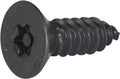 10 x 1  Tamper Resistant Torx Flat Head Sheet Metal Screw Steel Black (T-25)