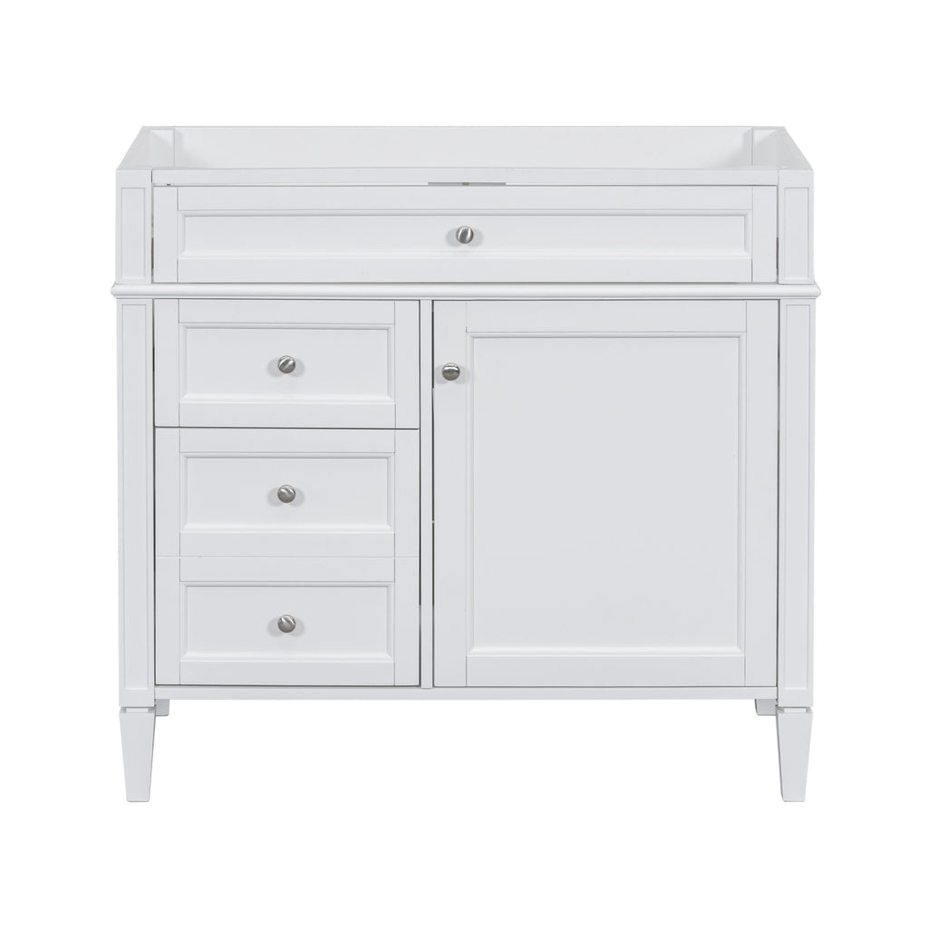 Bathroom Vanity With 2 Drawers and Tip-Out Drawer Storage Cabinet