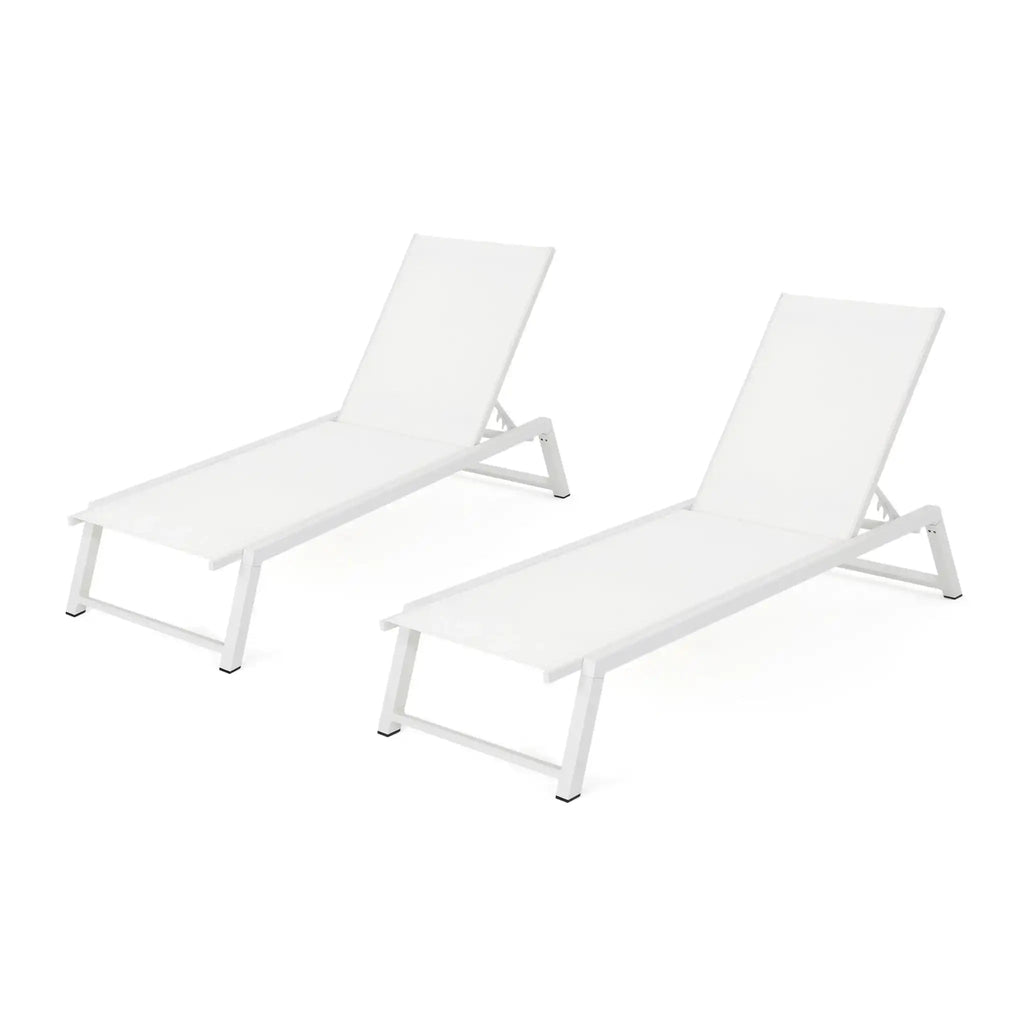 Myers Modern Chaise Lounge Set With Adjustable Back