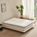 TM Home 12 Inch Hybrid Cooling Memory Foam Mattress