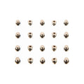 SRAM Lever Bleed Screw 20pcs