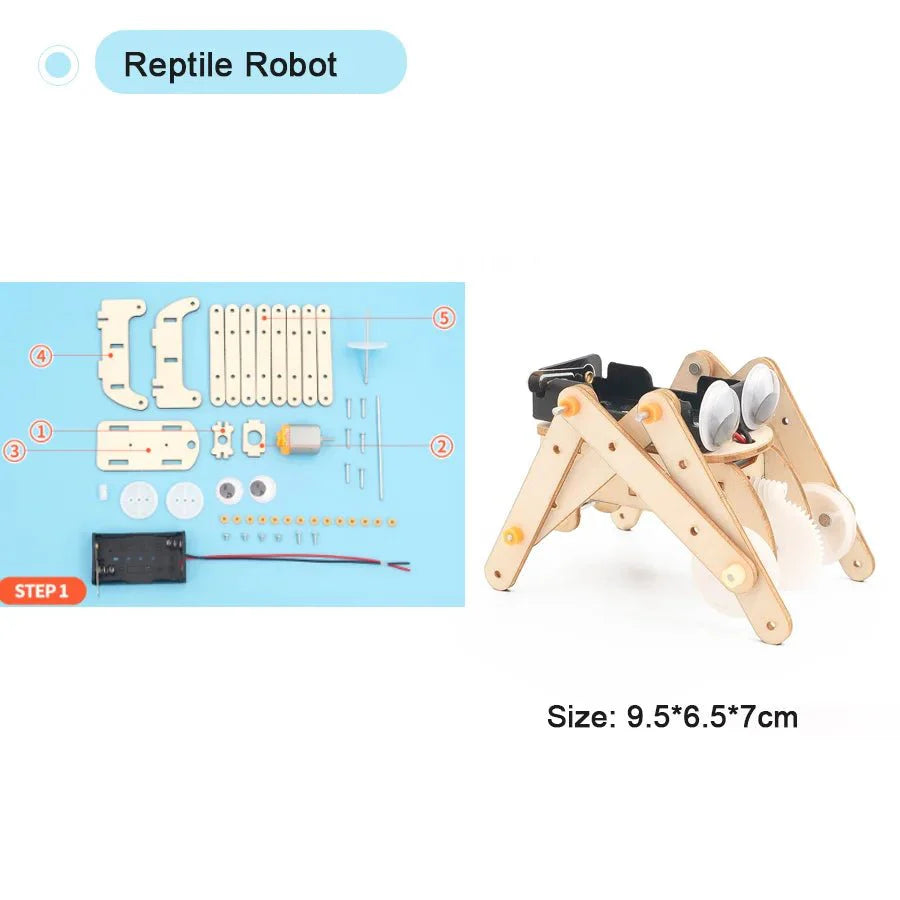 DIY Physical Model Science Experiment Kit | STEM Educational Toy for Teens