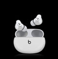 In Ear True Wireless Bluetooth Motion Noise Reduction Headset