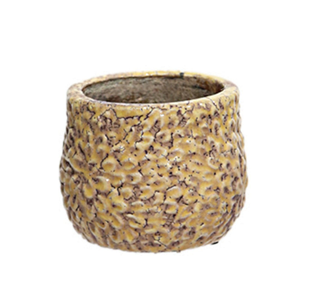 Mum Pot - 5 inch