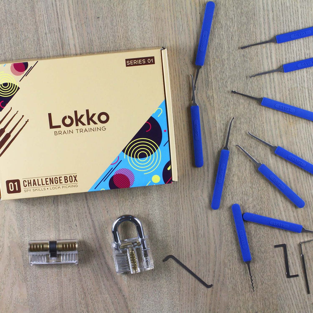 Lock Pick Set - for Beginners+: Lock Picks by LOKKO, Practice Locks, Covert Kit + How-to Guide