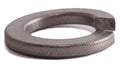 M12 Split Lockwasher A2 (18-8 SS)