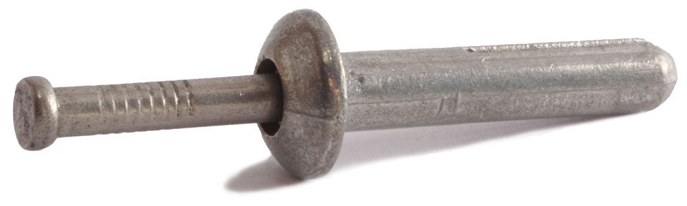 1/4 x 2 Nail-in Anchor Mushroom Stainless Steel (100)