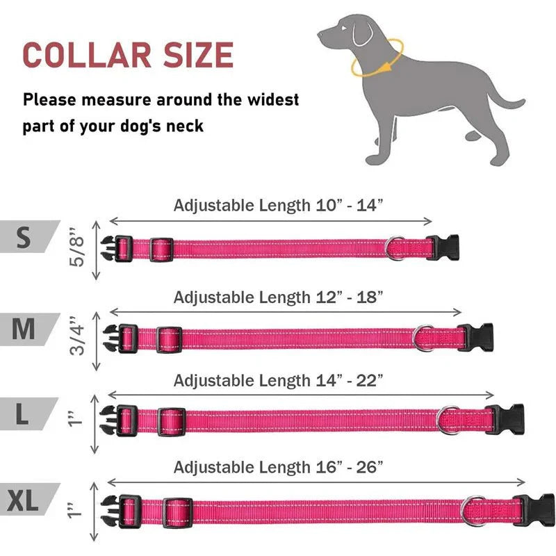 Reflective Nylon Dog Collar | Adjustable Safety Strap for Small and Medium Dogs