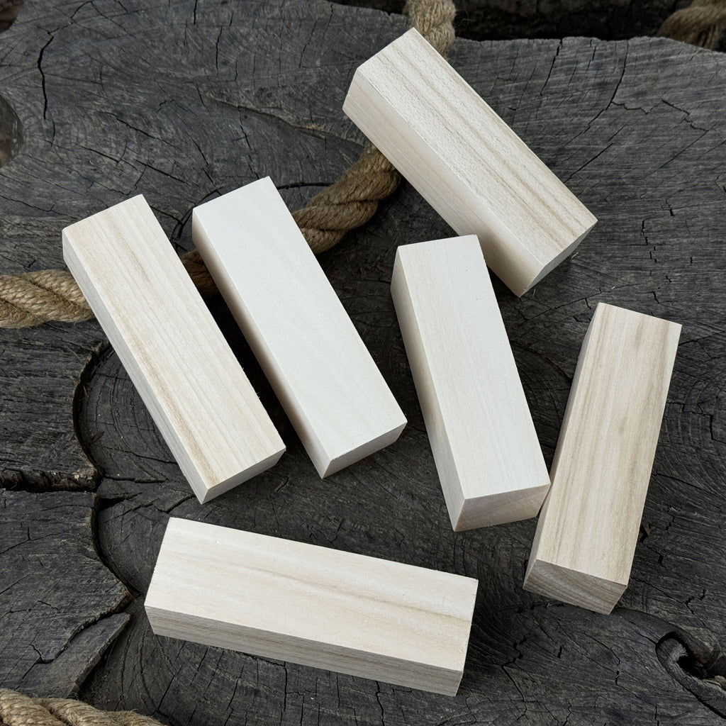 Set of 6 Medium Rectangular Linden Wood Carving Blanks
