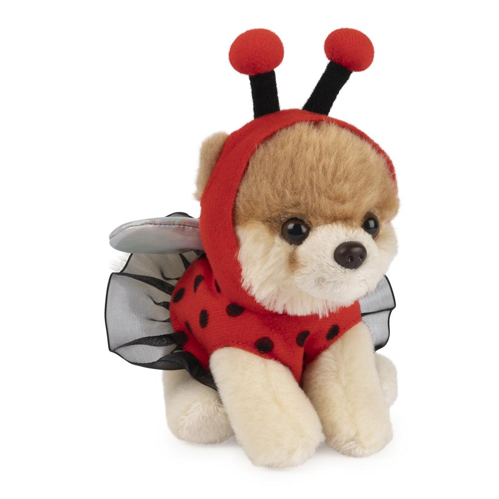 Itty Bitty Boo Ladybug
